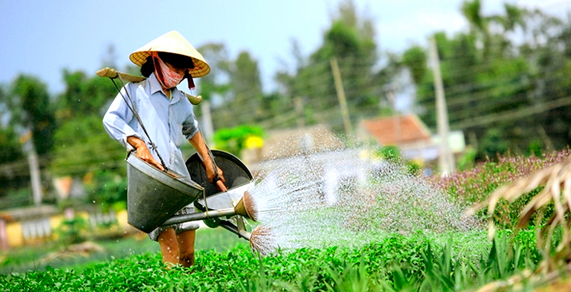 Hoi An Rural Villages Half Day Cycling Tour